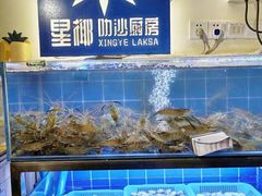 水产区-星椰叻沙·椰浆鲜虾面(江南西店)