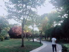 -贵阳市花溪国家城市湿地公园