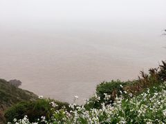 -东沙渔村