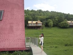 -关山草原