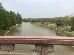 -上海海湾国家森林公园