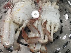 -睿柏云酒店-餐厅