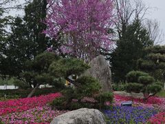 -千家粗粮王(MOMOPARK店)