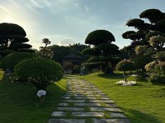 -南宁南湖公园