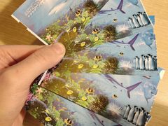 -太平洋海底世界