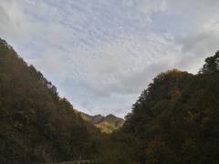 -沣峪口