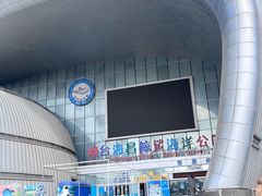 -烟台海昌鲸鲨海洋公园