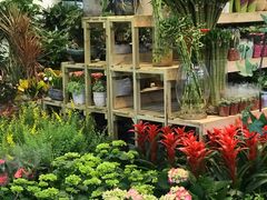 -双季花艺园艺市场(浦东店)