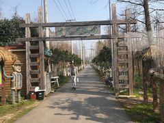 -上海长兴岛郊野公园