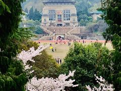 -武汉大学-樱园