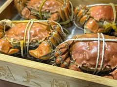-黄记大闸蟹专卖店·活蟹·醉蟹