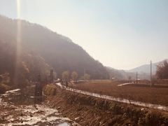 -千年银杏谷文化旅游区