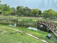 -美兰湖景区
