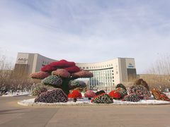 -国家动漫园