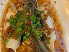 -顺峰(南二环店)