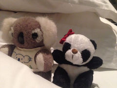iphone_upload_pic-上海外滩悦榕庄酒店