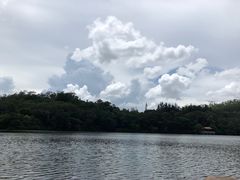 -深圳仙湖植物园-停车场
