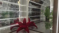 -Lily纤美·科技减脂中心
