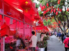 -越秀西湖花市(广州城市广场花卉店)