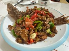 -煲来饱去冷水鱼