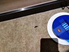 -河南省黄河迎宾馆