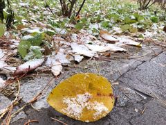 -辽宁省实验中学