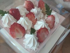 -卡吉诺动物奶油生日蛋糕(中原路店)