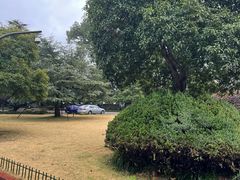 -浙江省博物馆(孤山馆区)