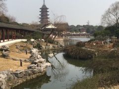 -苏州吴宫泛太平洋酒店