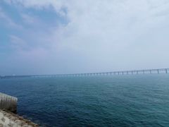 -星海湾跨海大桥
