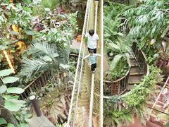 -正佳雨林生态植物园
