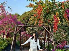 -东莞植物园