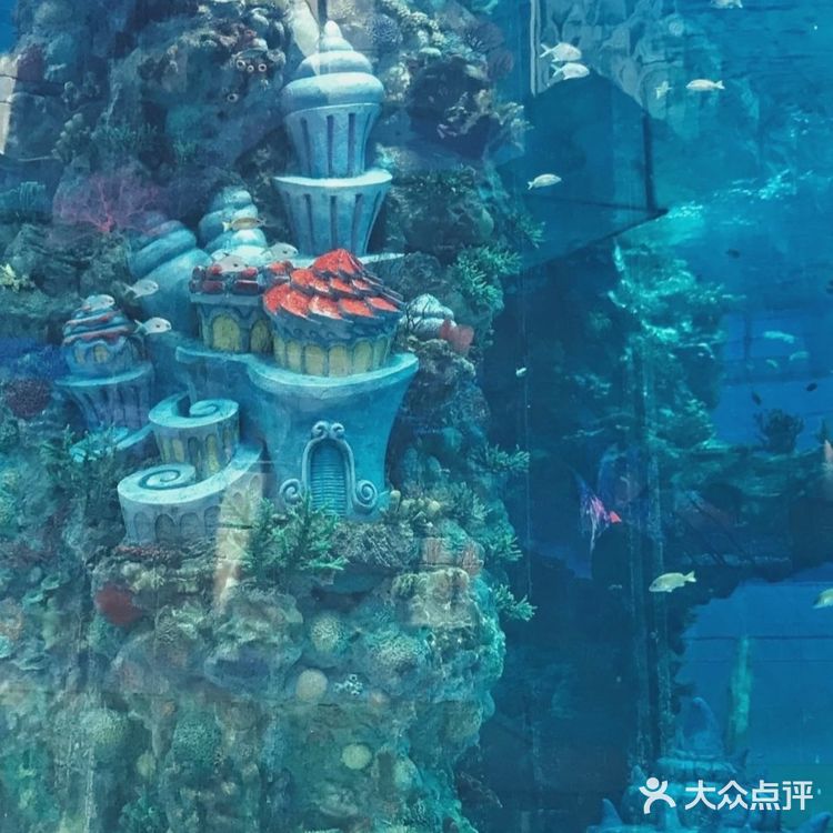 重庆观音桥|星光68广场溜娃or逛街