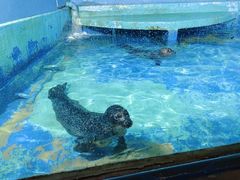 -太平洋海底世界