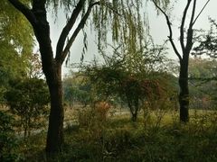 android_upload_pic-新江湾城公园