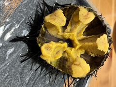 紫海胆-海胆小馆(东北水饺·春柳店)