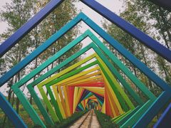 -合肥滨湖国家森林公园