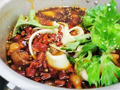 -晓彭肥肠鸡·泡椒鸡火锅(水木天地店)