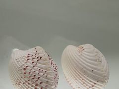 -青岛贝壳博物馆