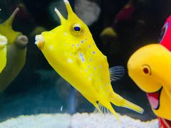 -合肥海洋世界