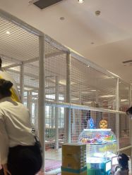 -超级奈尔宝SUPER NEOBIO(杭州星光店)