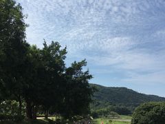 -风云岭森林公园