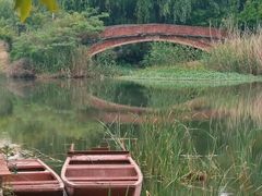 -贡湖湾湿地公园