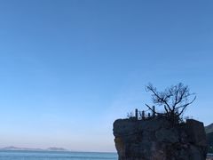 -杨梅坑