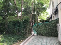 -上海市普陀区中心医院