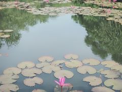 -白沙门生态公园