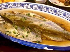 清蒸白水鱼-品渔味湖鲜馆(拈花湾店)