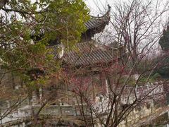 -习家池
