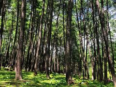 -硗碛藏寨·神木垒景区