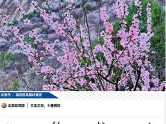 -北京凤凰岭